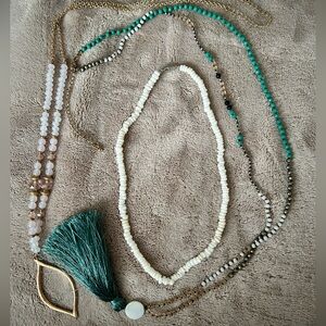 Misc. Necklace Lot